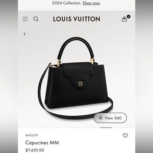 Brand New Louis Vuitton Capuci